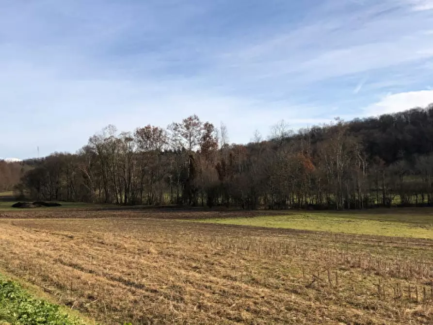 Immagine 5 di Terreno in vendita  a Gavardo