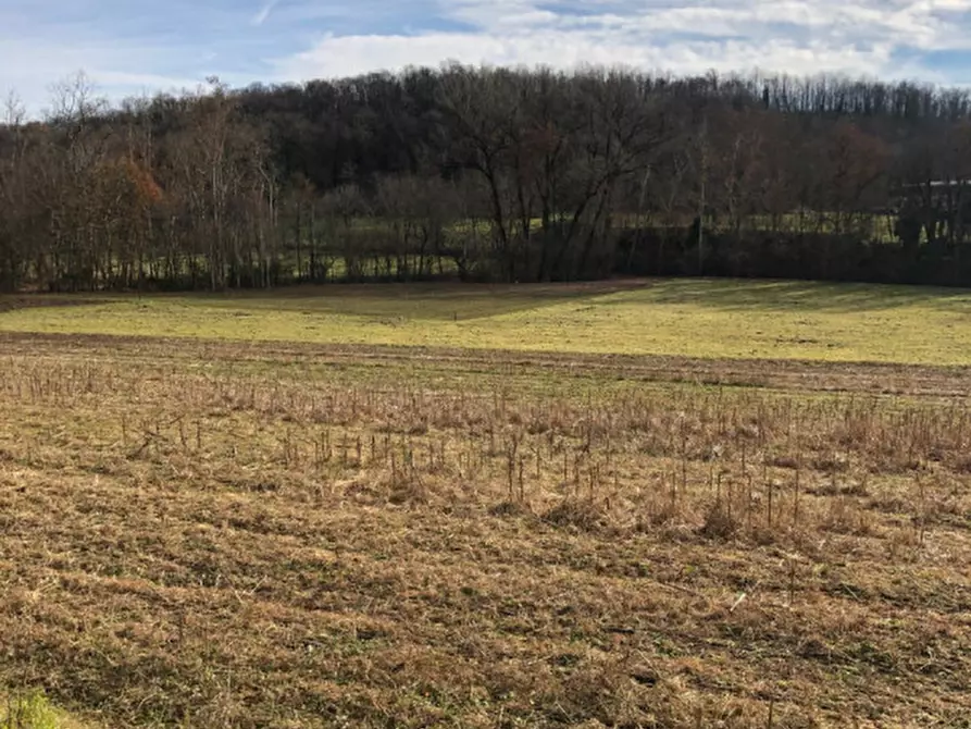 Immagine 11 di Terreno in vendita  a Gavardo