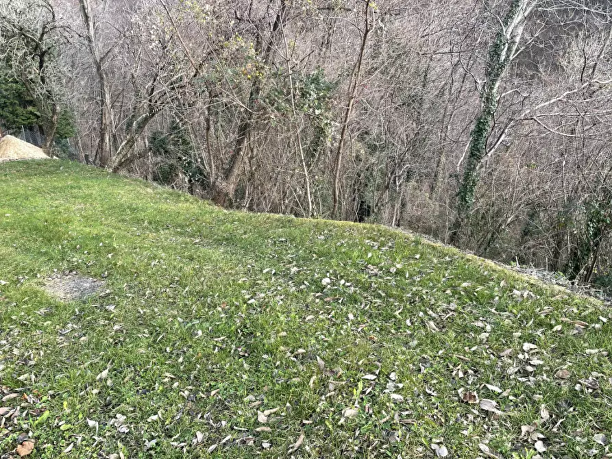 Immagine 4 di Rustico / casale in vendita  in CONTRADA VARDANEGA a Possagno