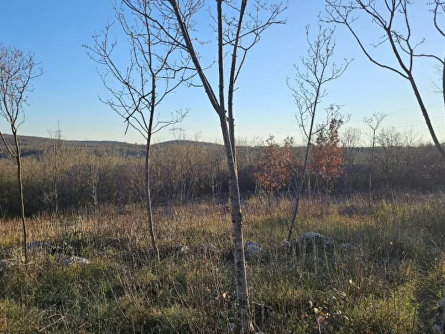 Immagine 3 di Terreno in vendita  in Via XXV Aprile a Doberdò Del Lago