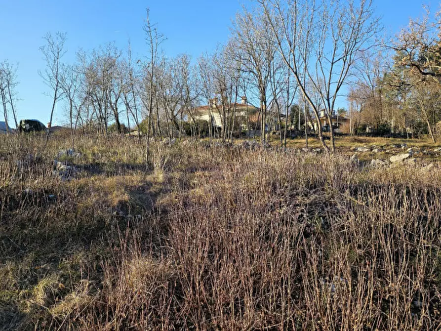 Immagine 6 di Terreno in vendita  in Via XXV Aprile a Doberdò Del Lago
