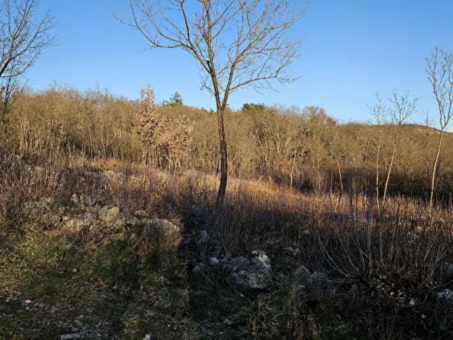 Immagine 12 di Terreno in vendita  in Via XXV Aprile a Doberdò Del Lago