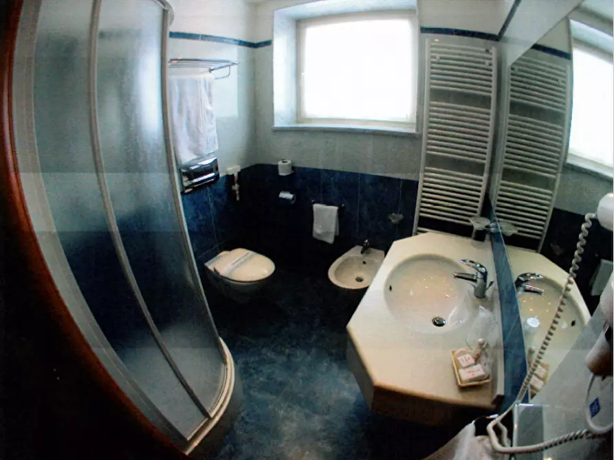 Immagine 5 di Hotel in vendita  a Moncalieri