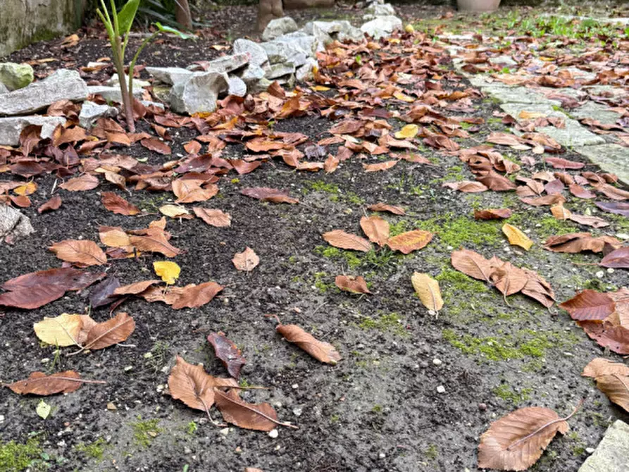 Immagine 35 di Casa bifamiliare in vendita  in Via Mascagni a Senigallia