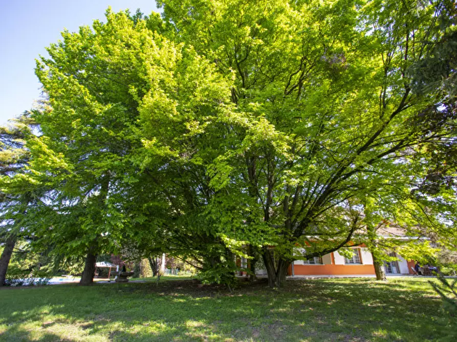 Immagine 4 di Villa in vendita  a Vicenza