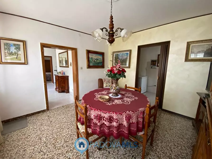 Immagine 4 di Casa indipendente in vendita  in Via Ca' Matte a Anguillara Veneta