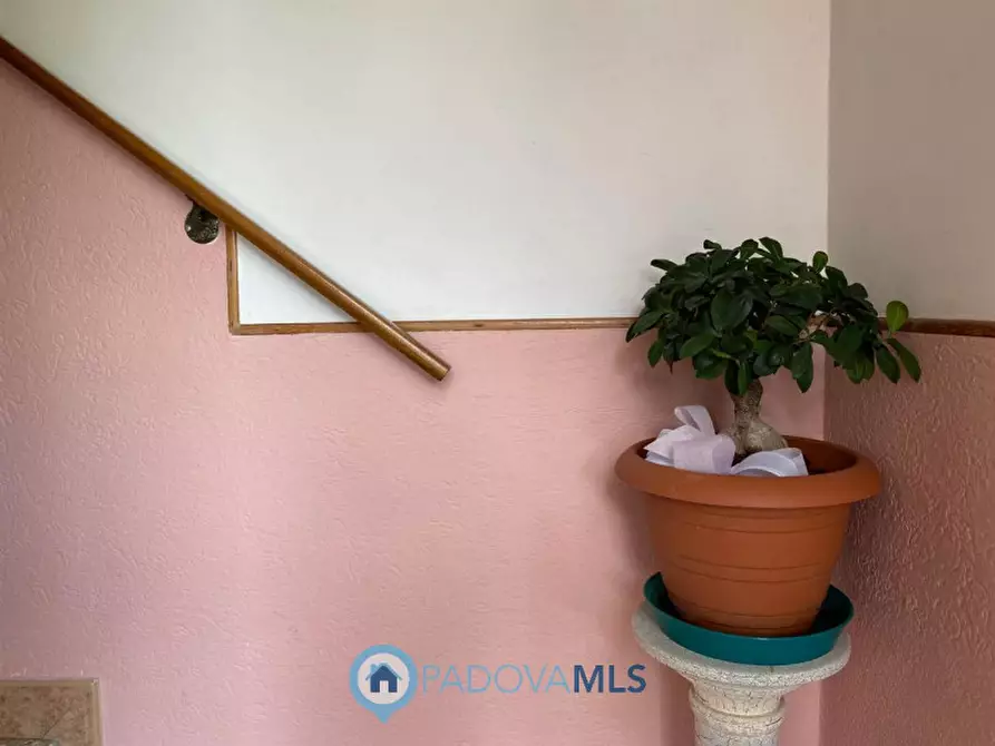 Immagine 11 di Casa indipendente in vendita  in Via Ca' Matte a Anguillara Veneta