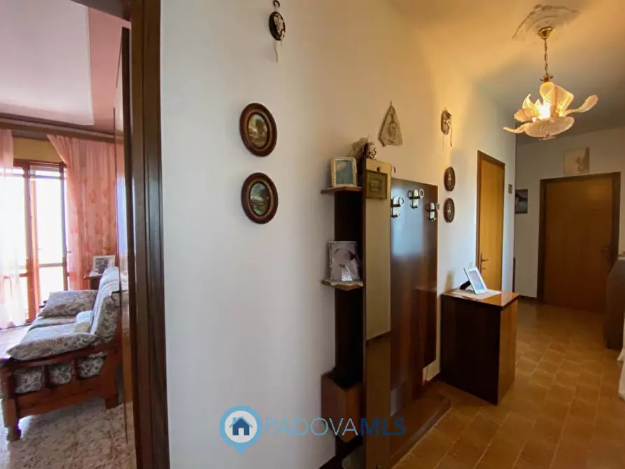 Immagine 13 di Casa indipendente in vendita  in Via Ca' Matte a Anguillara Veneta