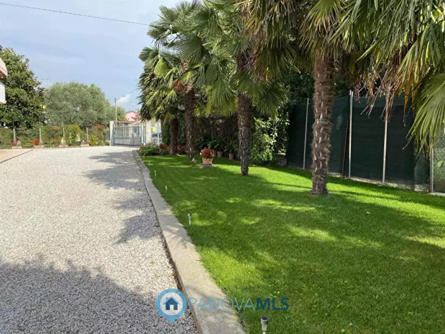 Immagine 21 di Casa indipendente in vendita  in Via Ca' Matte a Anguillara Veneta
