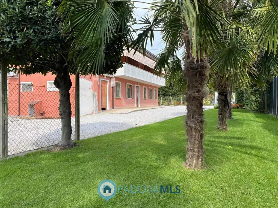 Immagine 22 di Casa indipendente in vendita  in Via Ca' Matte a Anguillara Veneta