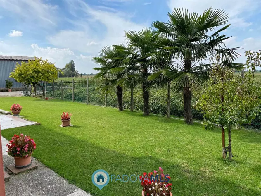 Immagine 23 di Casa indipendente in vendita  in Via Ca' Matte a Anguillara Veneta