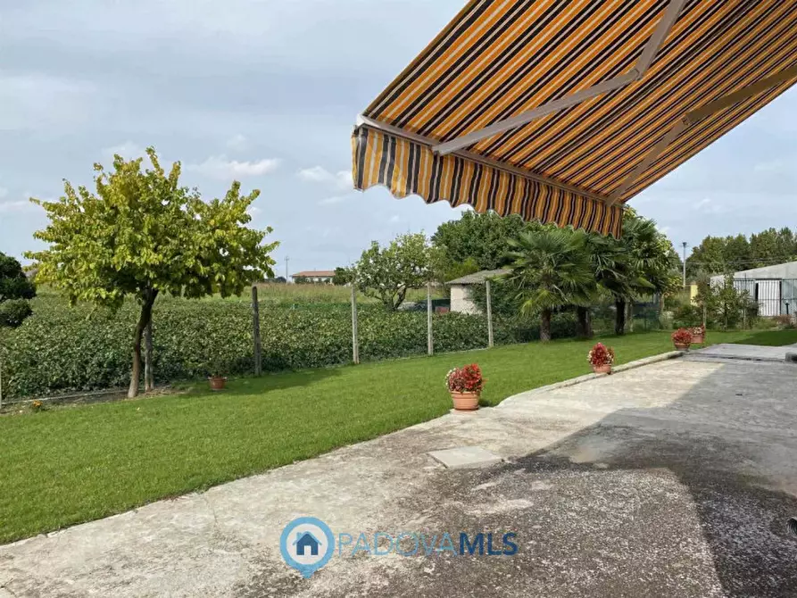 Immagine 24 di Casa indipendente in vendita  in Via Ca' Matte a Anguillara Veneta