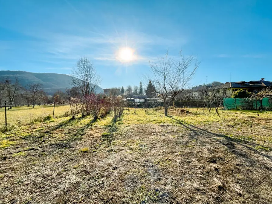 Immagine 3 di Terreno in vendita  in Via due riviere a Armeno