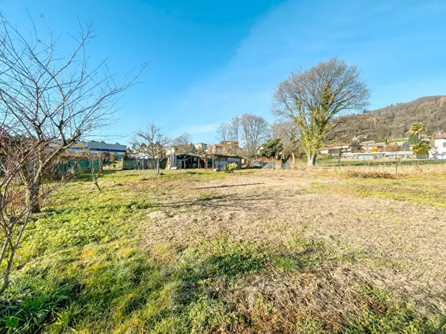 Immagine 5 di Terreno in vendita  in Via due riviere a Armeno