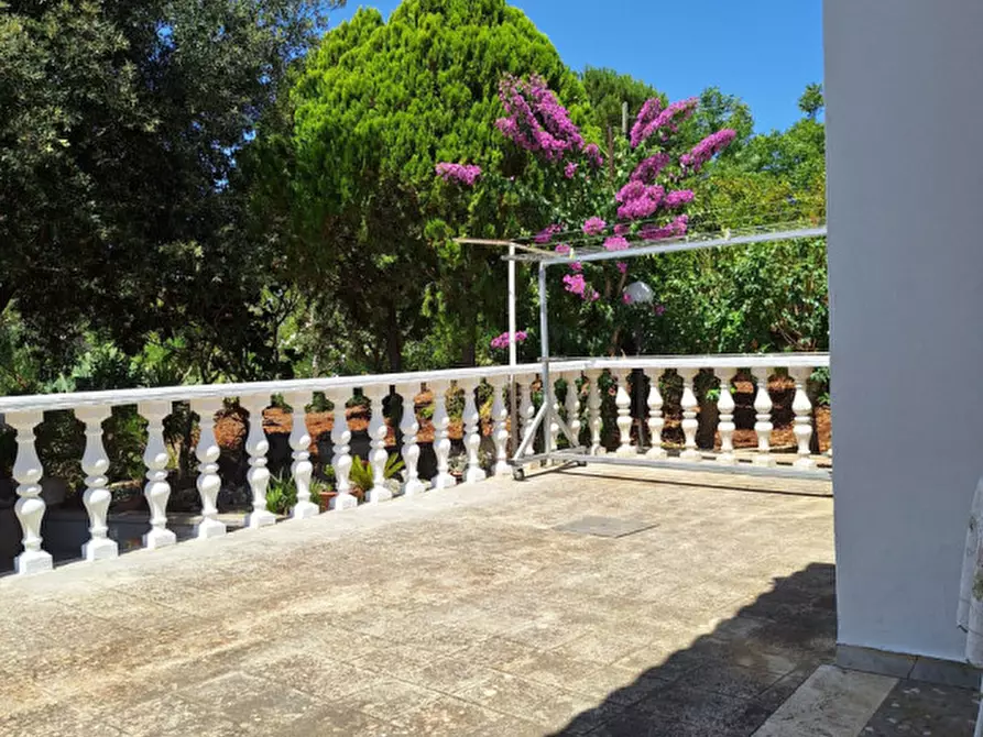 Immagine 20 di Villa in vendita  in Contrada Ulmo a Ceglie Messapico