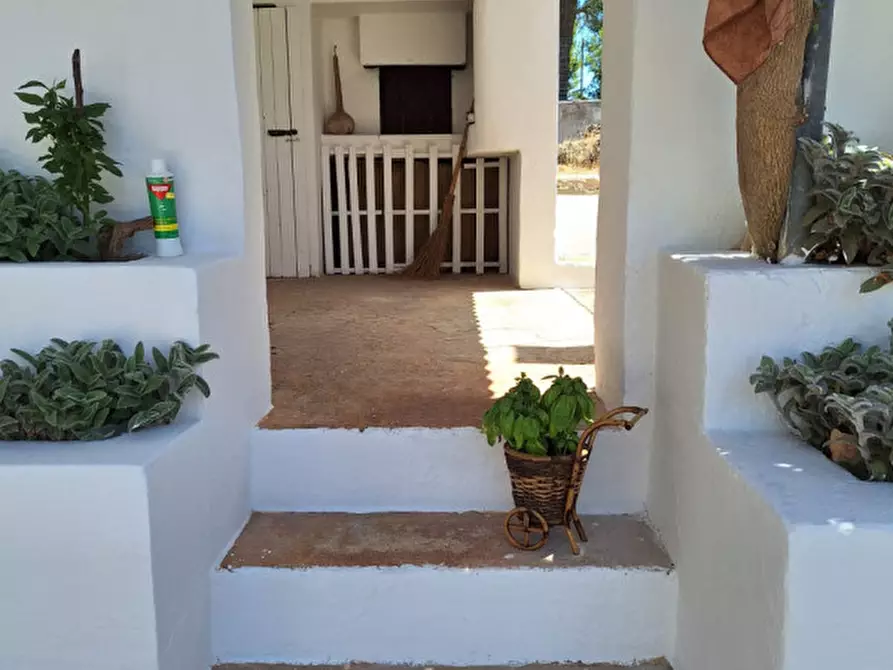 Immagine 28 di Villa in vendita  in Contrada Ulmo a Ceglie Messapico