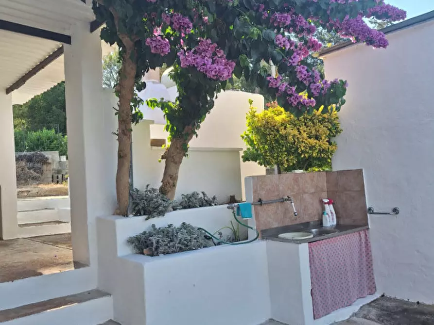 Immagine 36 di Villa in vendita  in Contrada Ulmo a Ceglie Messapico