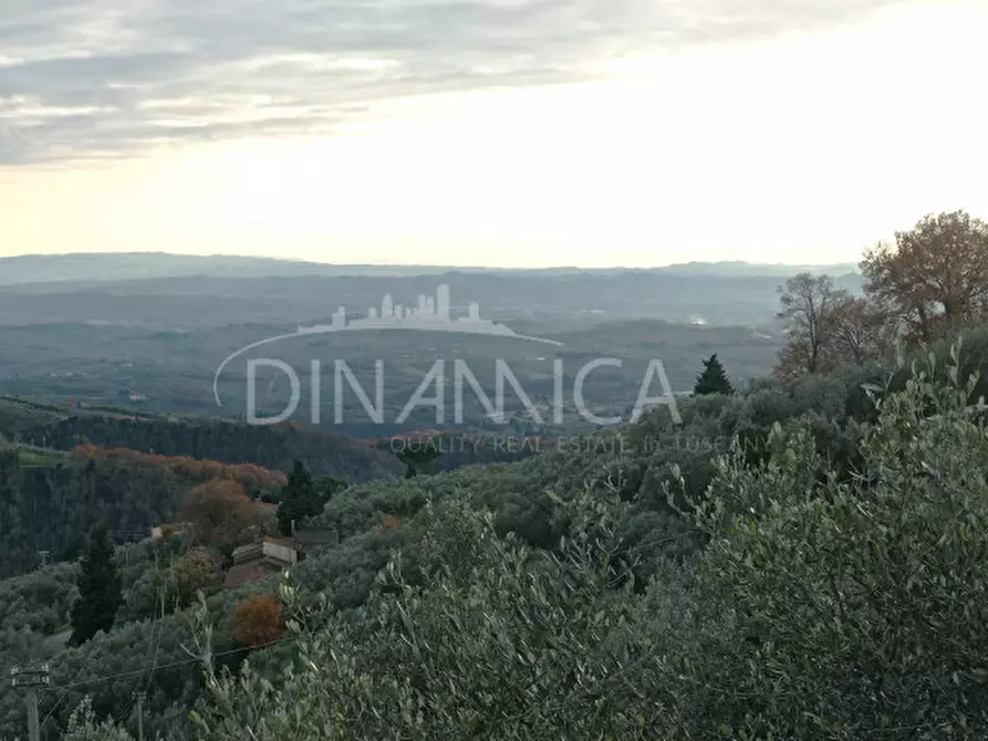 Immagine 2 di Rustico / casale in vendita  a Vinci