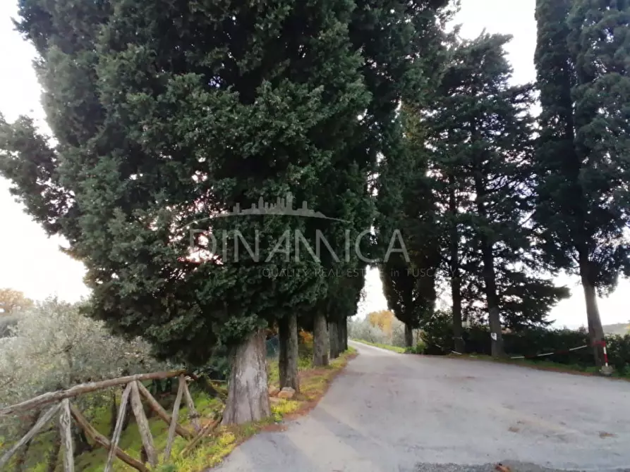 Immagine 20 di Rustico / casale in vendita  a Vinci