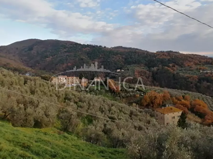 Immagine 21 di Rustico / casale in vendita  a Vinci