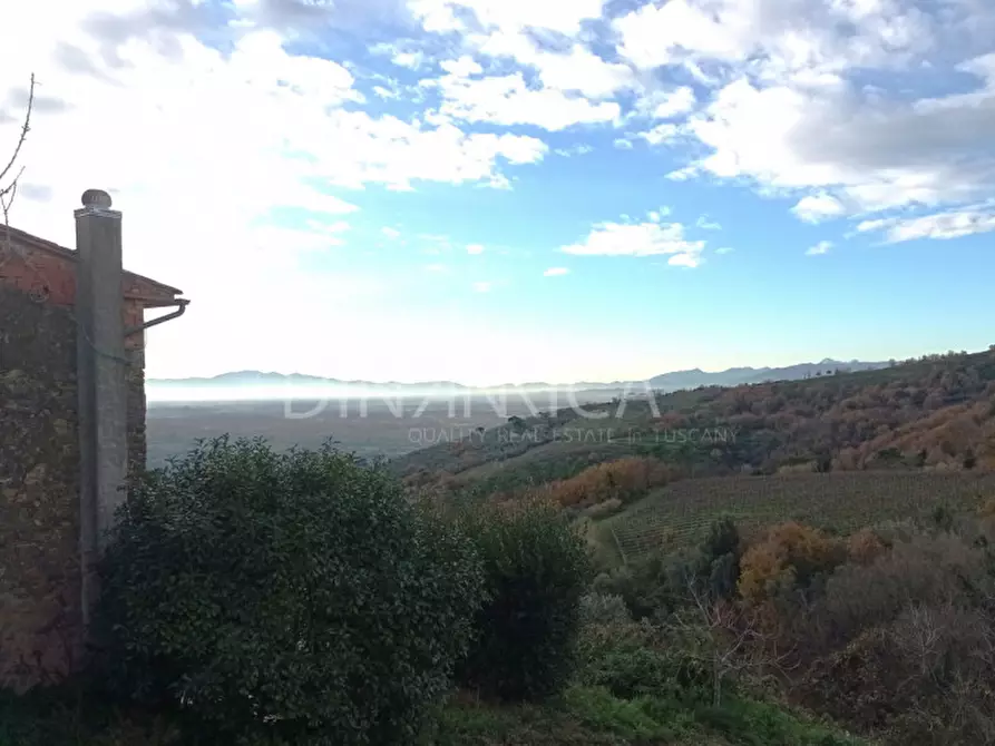 Immagine 23 di Rustico / casale in vendita  a Vinci