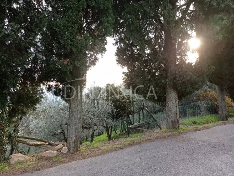 Immagine 26 di Rustico / casale in vendita  a Vinci