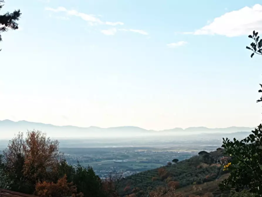 Immagine 27 di Rustico / casale in vendita  a Vinci