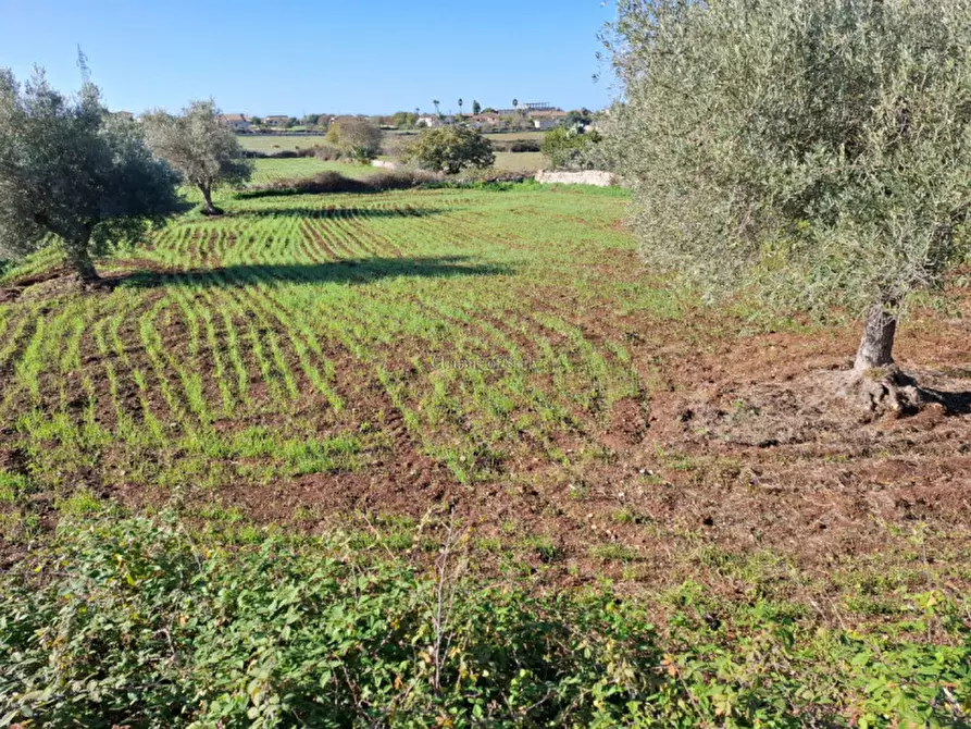 mansarda in vendita a Modica in zona Sacro Cuore