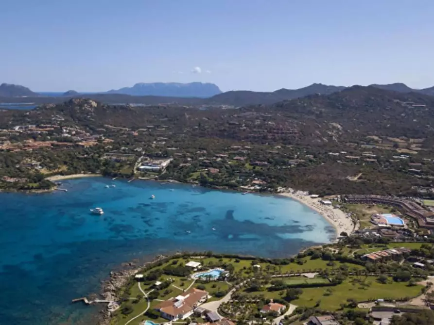 Immagine 29 di Appartamento in vendita  in portisco a Olbia