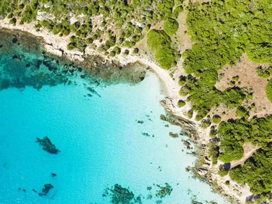 Immagine 30 di Appartamento in vendita  in portisco a Olbia