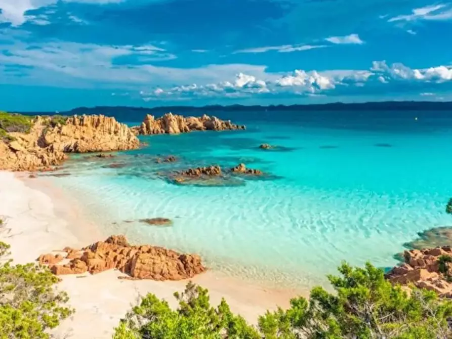 Immagine 31 di Appartamento in vendita  in portisco a Olbia