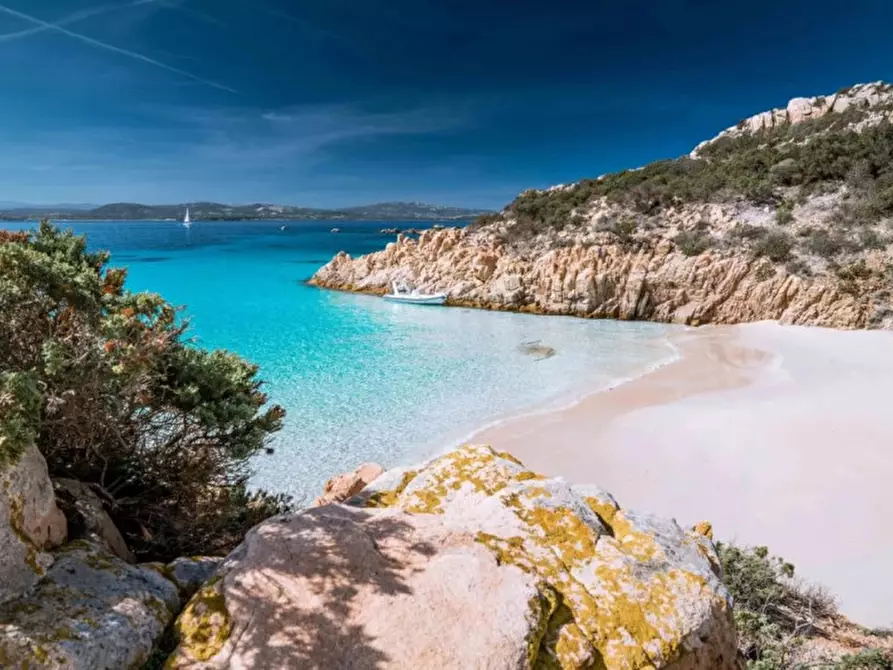 Immagine 32 di Appartamento in vendita  in portisco a Olbia