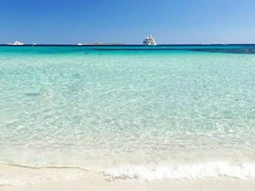 Immagine 33 di Appartamento in vendita  in portisco a Olbia