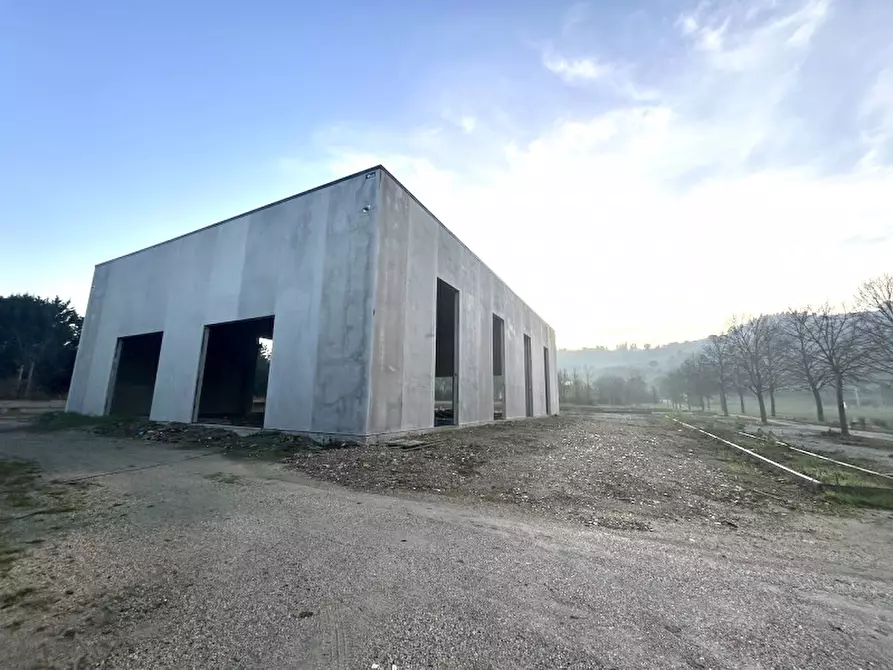 Immagine 2 di Capannone industriale in affitto  in SAN VITTORE a Cesena