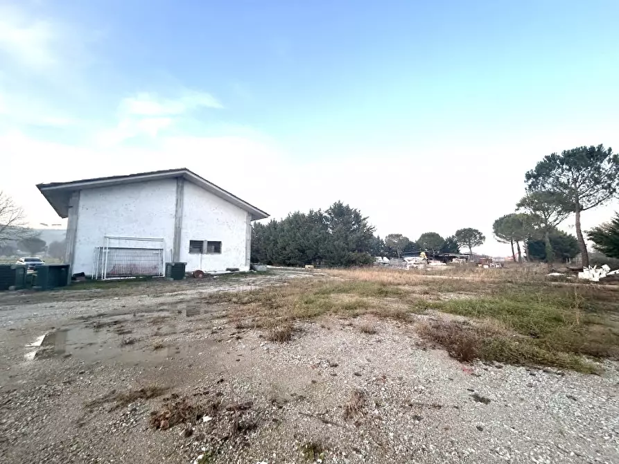 Immagine 3 di Capannone industriale in affitto  in SAN VITTORE a Cesena