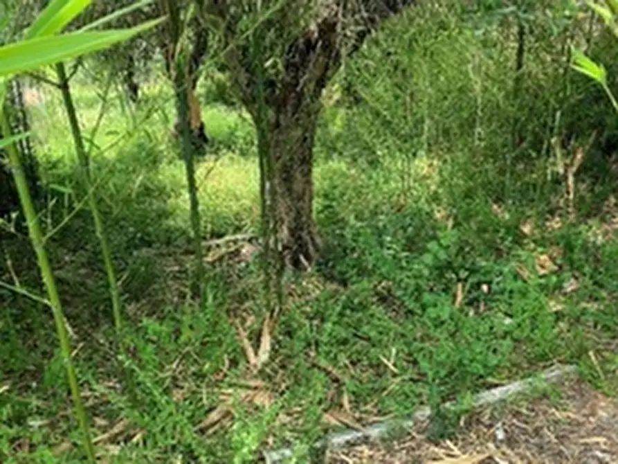 Immagine 32 di Casa indipendente in vendita  in VIA DON LUIGI STURZO 1 a Sona