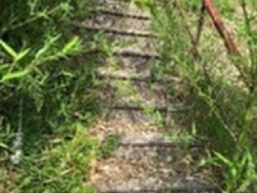 Immagine 33 di Casa indipendente in vendita  in VIA DON LUIGI STURZO 1 a Sona