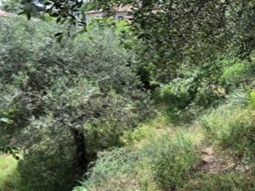 Immagine 37 di Casa indipendente in vendita  in VIA DON LUIGI STURZO 1 a Sona