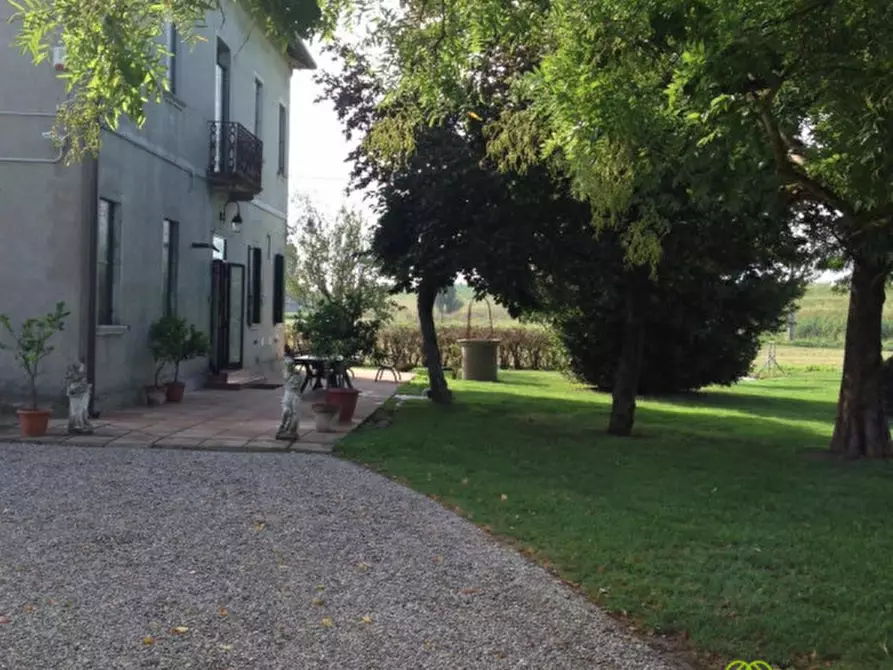Immagine 2 di Villa in vendita  a Ariano Nel Polesine