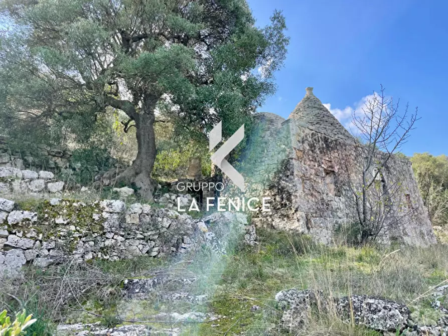 Immagine 8 di Rustico / casale in vendita  in C.da Gravinella a Fasano