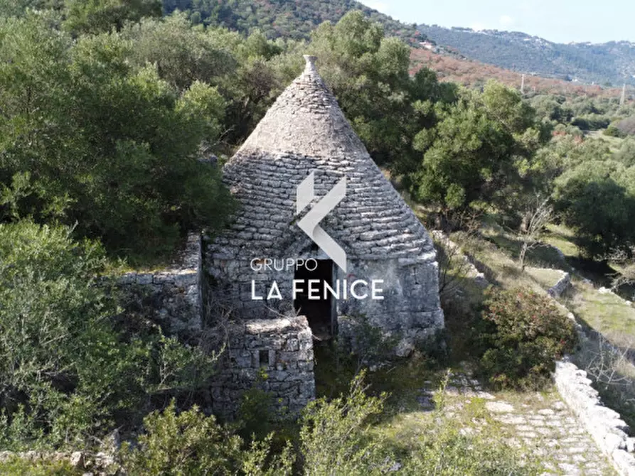 Immagine 11 di Rustico / casale in vendita  in C.da Gravinella a Fasano