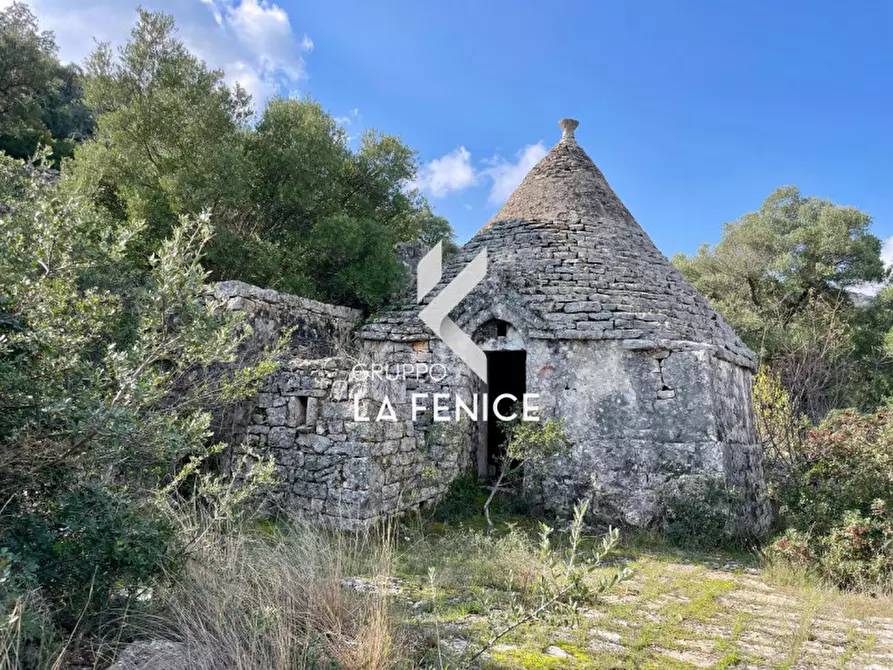 Immagine 12 di Rustico / casale in vendita  in C.da Gravinella a Fasano