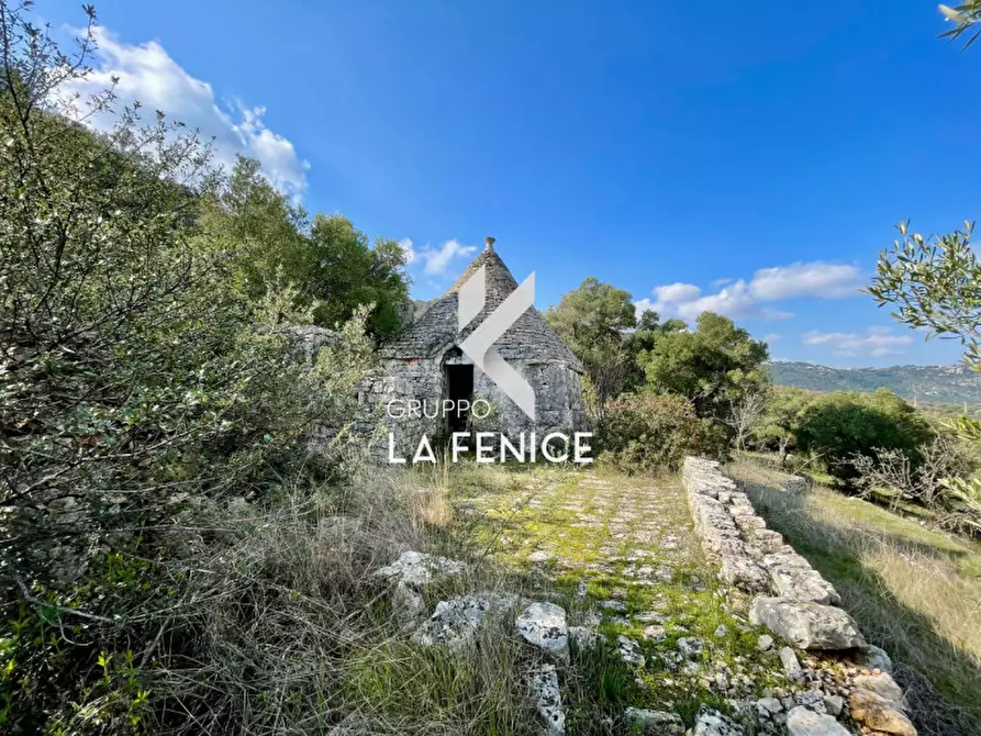 Immagine 13 di Rustico / casale in vendita  in C.da Gravinella a Fasano