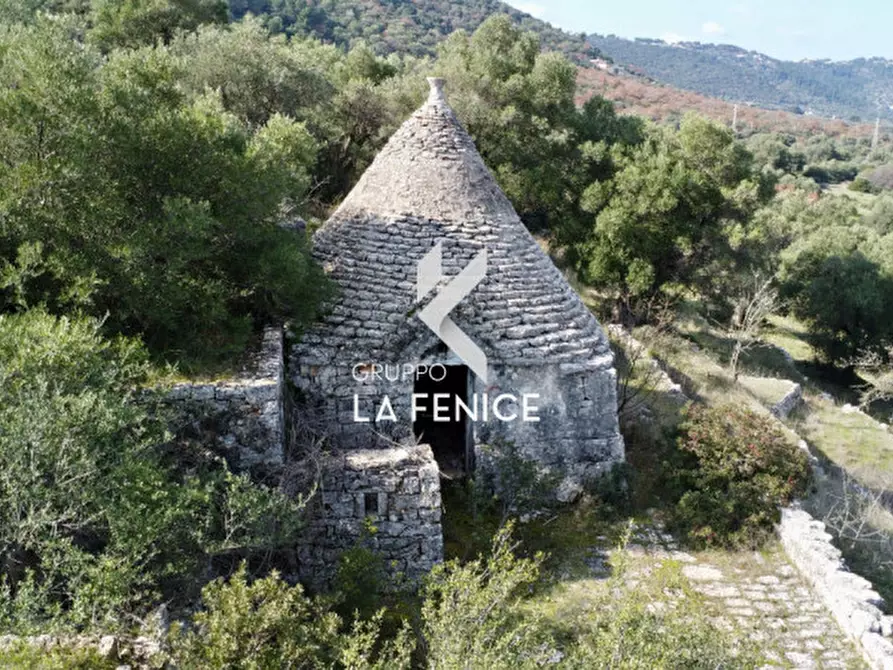 Immagine 14 di Rustico / casale in vendita  in C.da Gravinella a Fasano