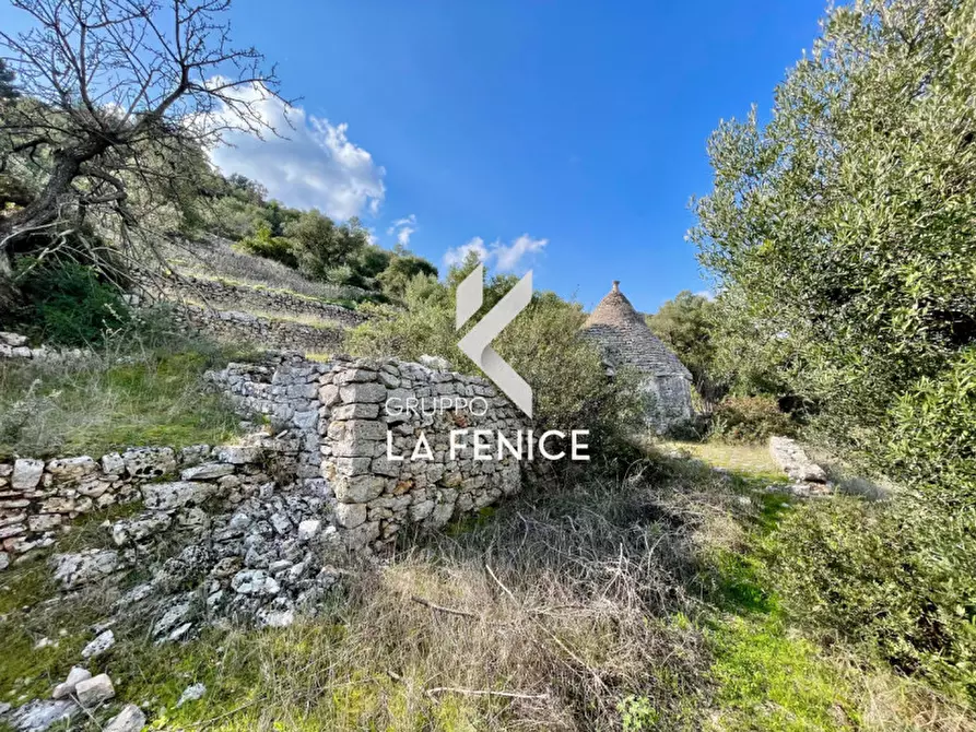Immagine 16 di Rustico / casale in vendita  in C.da Gravinella a Fasano