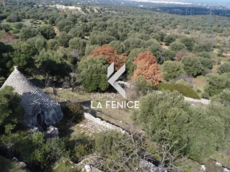 Immagine 17 di Rustico / casale in vendita  in C.da Gravinella a Fasano