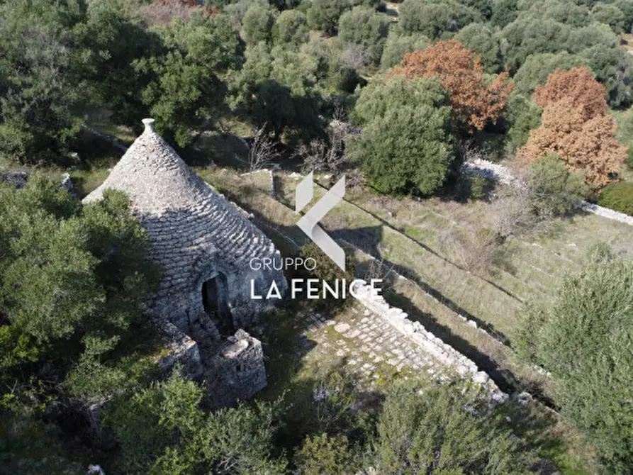 Immagine 18 di Rustico / casale in vendita  in C.da Gravinella a Fasano