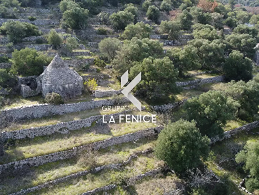 Immagine 20 di Rustico / casale in vendita  in C.da Gravinella a Fasano