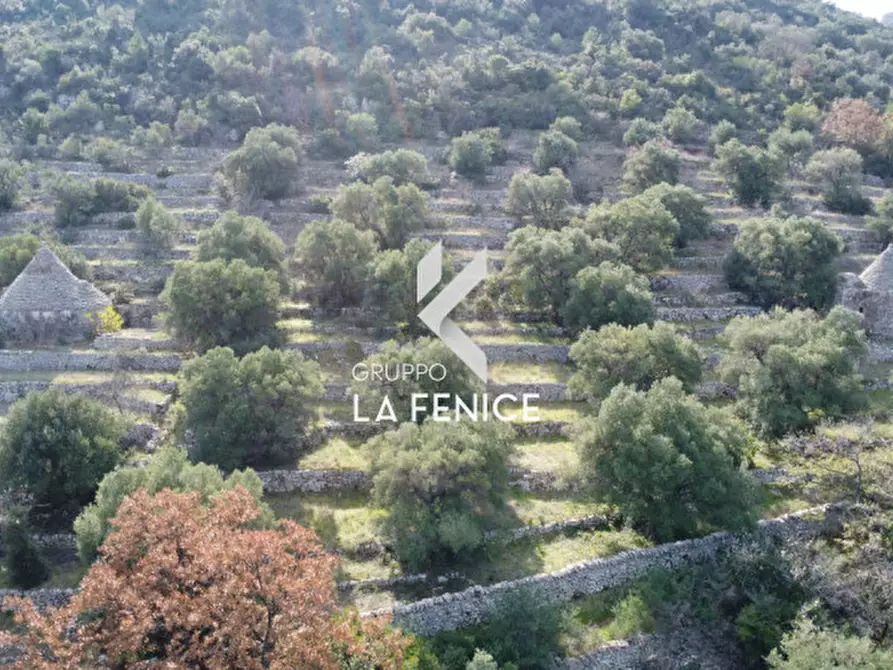 Immagine 21 di Rustico / casale in vendita  in C.da Gravinella a Fasano