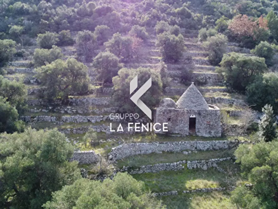 Immagine 22 di Rustico / casale in vendita  in C.da Gravinella a Fasano